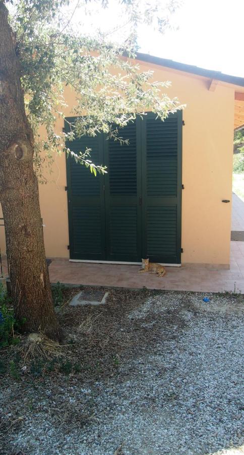 Agriturismo Ardizio 43 ペザロ エクステリア 写真