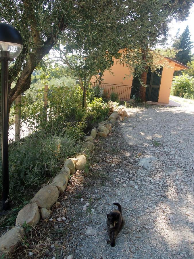 Agriturismo Ardizio 43 ペザロ エクステリア 写真