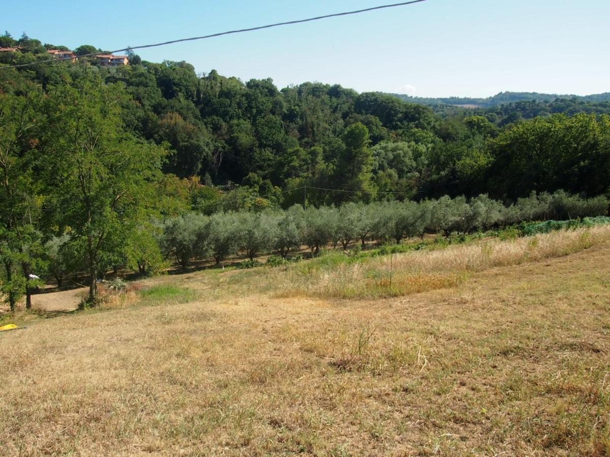 Agriturismo Ardizio 43 ペザロ エクステリア 写真